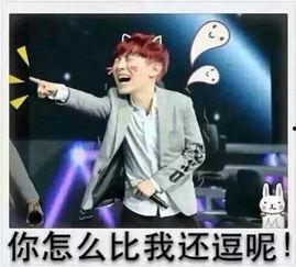 exo搞笑文,笑料百出，欢乐无限