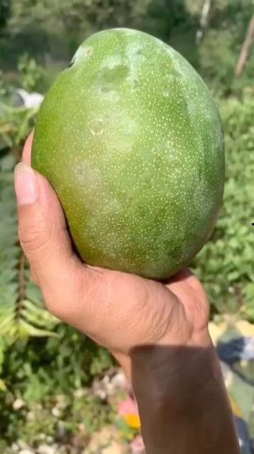 芒果搞笑,笑点满满，欢乐无限