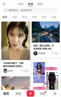 明星小红书报价,明星网红营销背后的真相