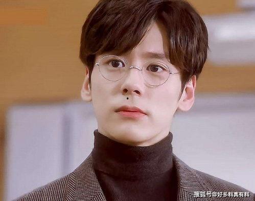 王岚 个人资料,才华横溢的青年才俊，多领域成就斐然